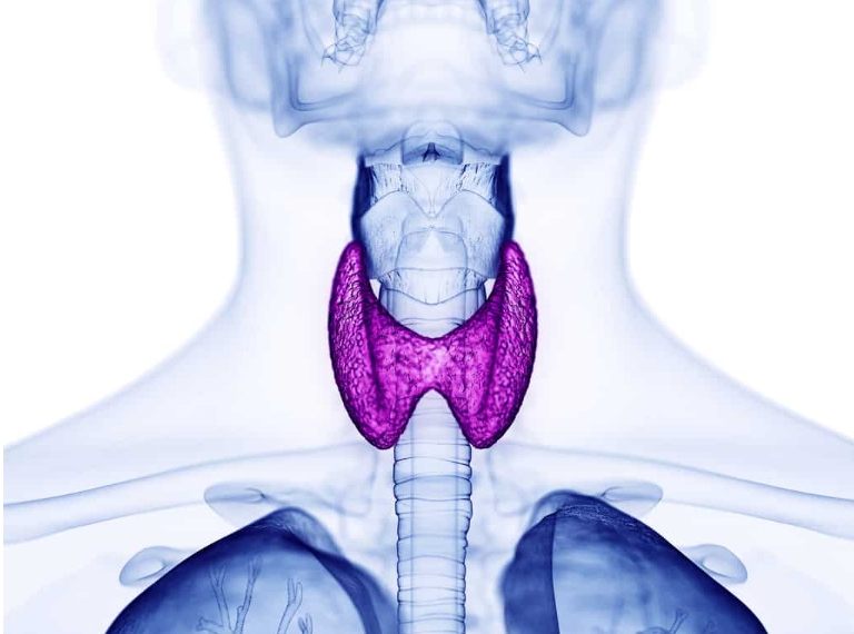 Cirugia tiroides queretaro