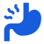 estomago
