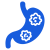 estomago-2